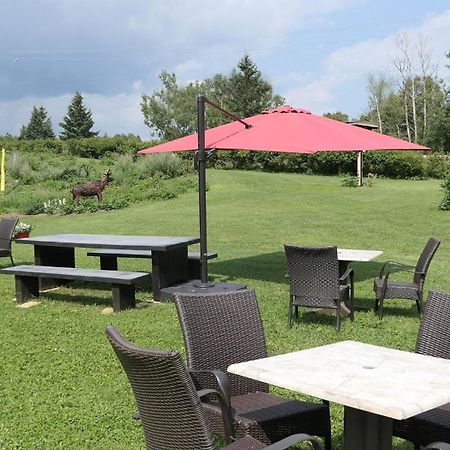 Auberge La Daina Baie-Saint-Paul Exteriör bild